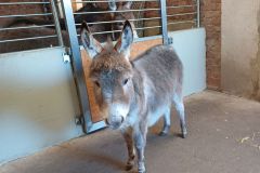 01-01-26.12.2025-Kopie